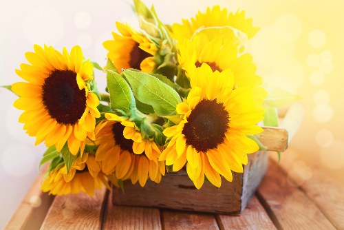 Fresh and vibrant flowers in a delivery box