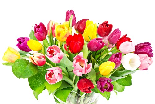 Colorful assortment of fresh flowers in West Wickham
