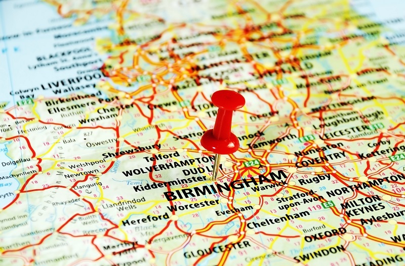 lilies lilies  / peace lilies